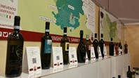 SannioDOP al Salone del Gusto Terra Madre Torino - IMG_1329.JPG